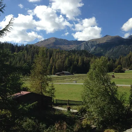 Laret, Ginseng Nr 12 Davos