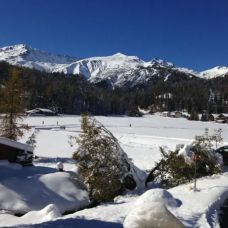 Laret, Ginseng Nr 12 Davos