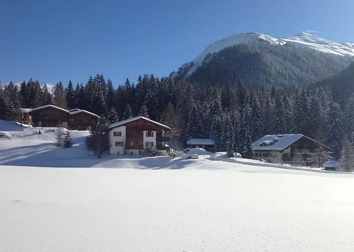 Laret, Ginseng Nr 12 * Davos