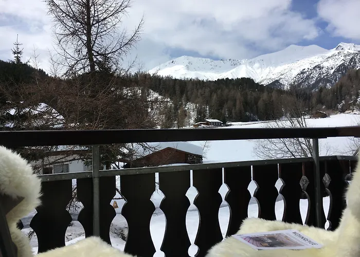 Laret, Ginseng Nr 12